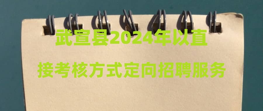 武宣县2024年以直接考核方式定向招聘服务基层项目人员公告
