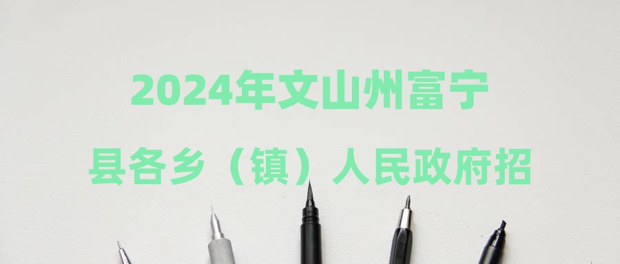 2024年文山州富宁县各乡（镇）人民政府招聘城镇公益性岗位工作人员公告